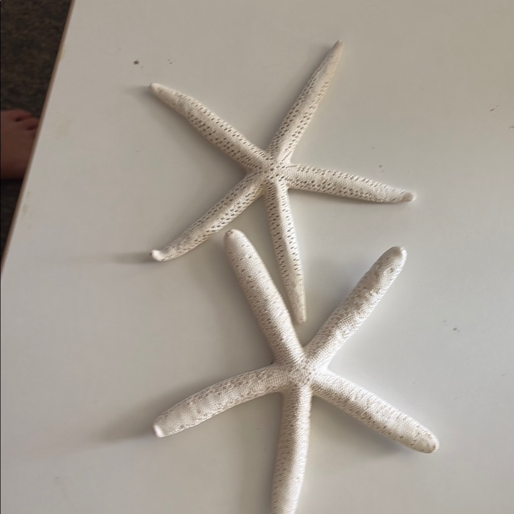 Elegant Cream Starfish Wall Decor